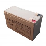 Μπαταρία συναγερμού/UPS VRLA - AGM Power PR7.2-12 12V 7.2Ah